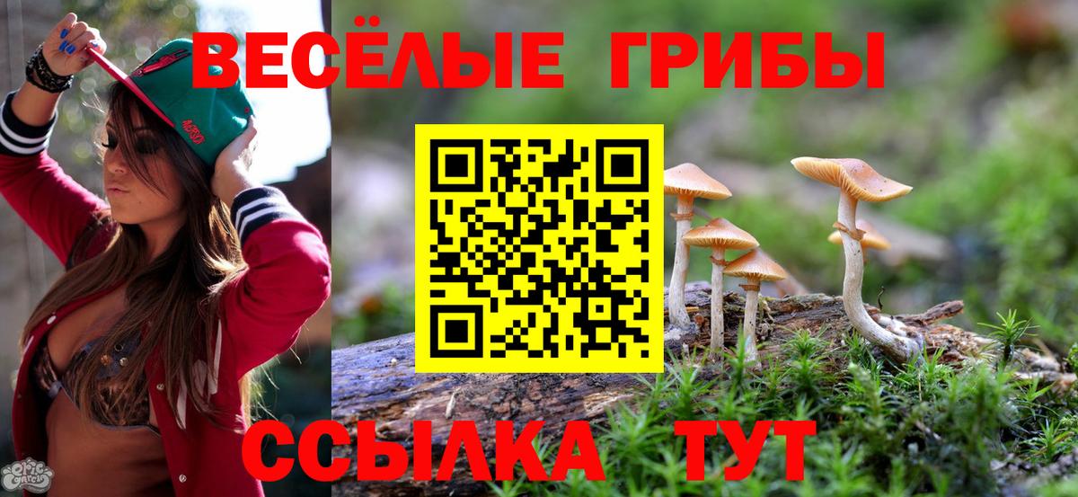 Псилоцибиновые грибы прущие грибы Новокуйбышевск